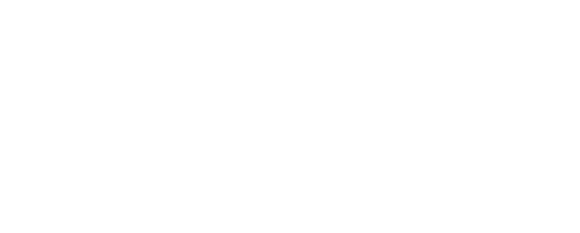 Logo Nicolas Berney